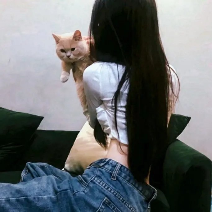 莎拉的钥匙