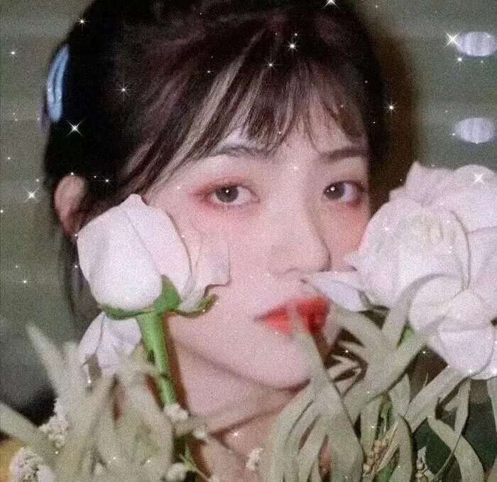 扭计大贼