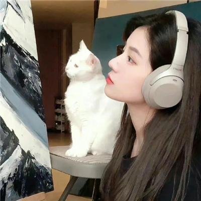功夫小子