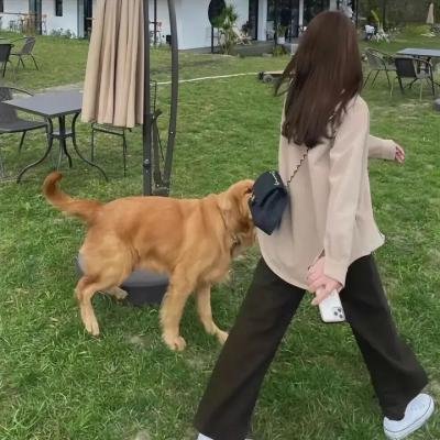 秀逗小护士4